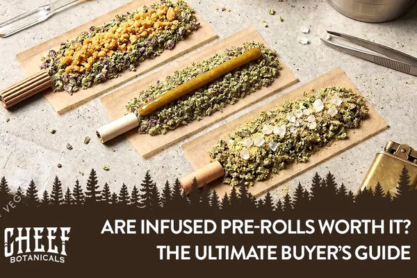 Are Infused Pre-Rolls Worth It? A Complete Buyer’s Guide