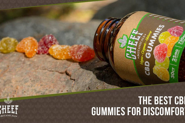 Best CBD Gummies For Mood, Digestion, Discomfort, and MORE