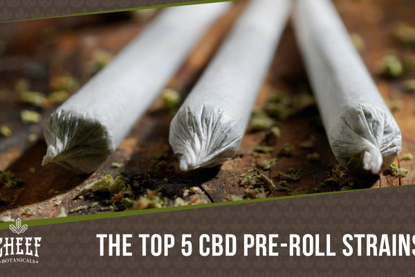 The 5 Best CBD Pre Rolls and CBD Joint Strains