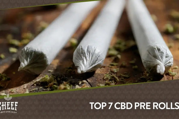 The 7 Best CBD Pre Rolls [Top Strains & Options]