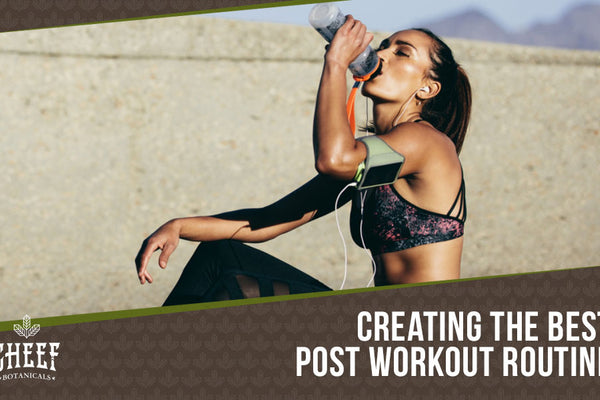 Best Post Workout Routines & Easy Tips For Recovery