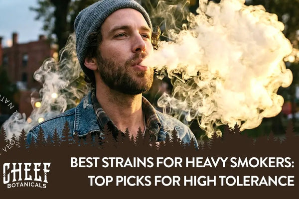 Best Strains for Heavy Smokers: Top Picks for High Tolerance