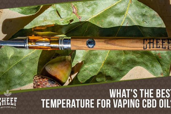 Best Temperature to Vape CBD Oil: Proper Vaping Techniques Explained