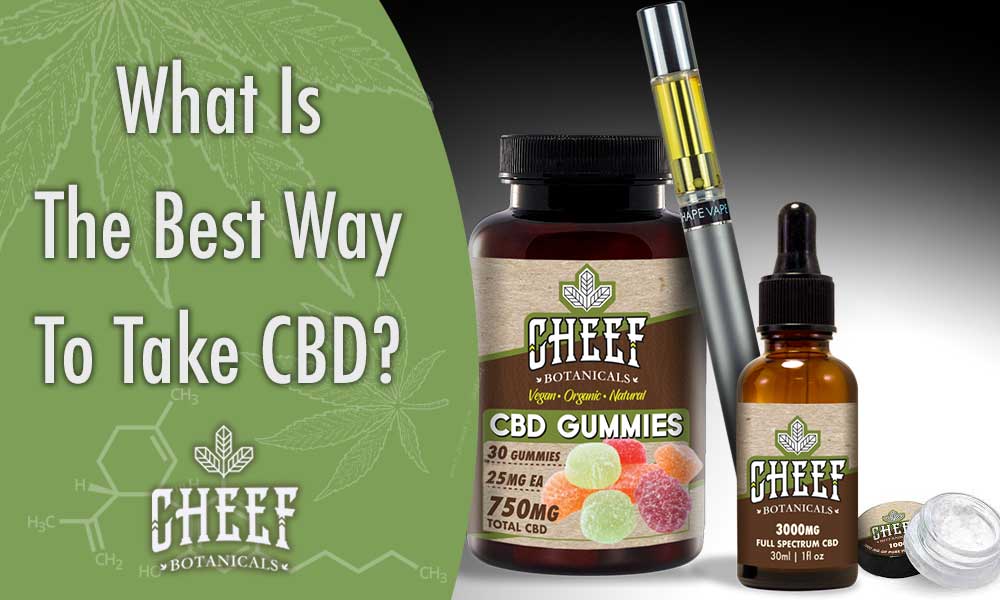 best way to take cbd (featured blog image by Cheef Botanicals) shows Cheef Botanicals CBD products