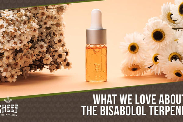 Bisabolol Terpene: Discover Its Soothing & Youthful Effects