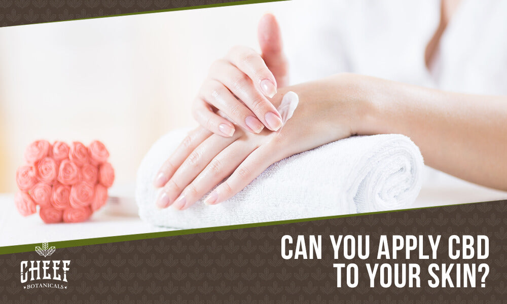 can cbd be absorbed through the skin (featured blog image by Cheef Botanicals) shows a person applying CBD topical on their hand
