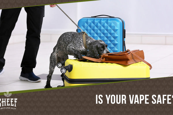 Can Drug Dogs Smell Carts? [Yes! Here’s What To Know]