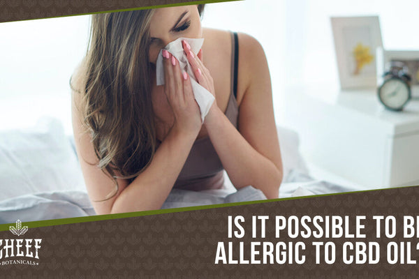 Can You be Allergic to CBD Oil? [Read Before Use]