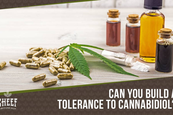 Can You Build a Tolerance to CBD?