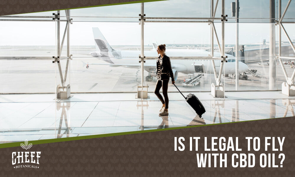 Featured blog image by Cheef Botanicals showing a traveler walking through an airport with luggage and the text “Is It Legal to Fly With CBD Oil?” highlighting can you fly with CBD oil.