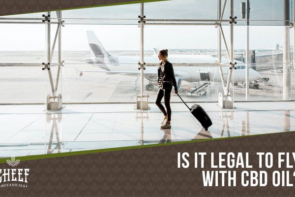 Can You Fly With CBD Oil? [Preparation Tips]