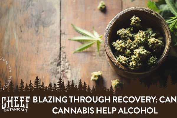 Blazing Through Recovery: Can Cannabis Help Alcohol Withdrawal?