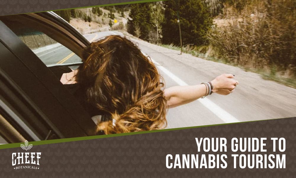 cannabis tourism