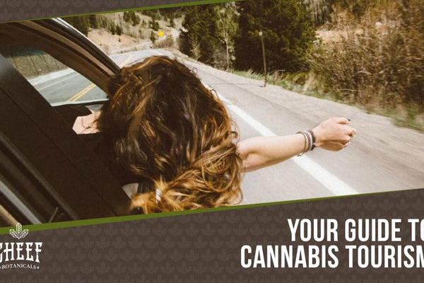 Your Guide to Cannabis Tourism: Top 10 Places to Visit in 2022