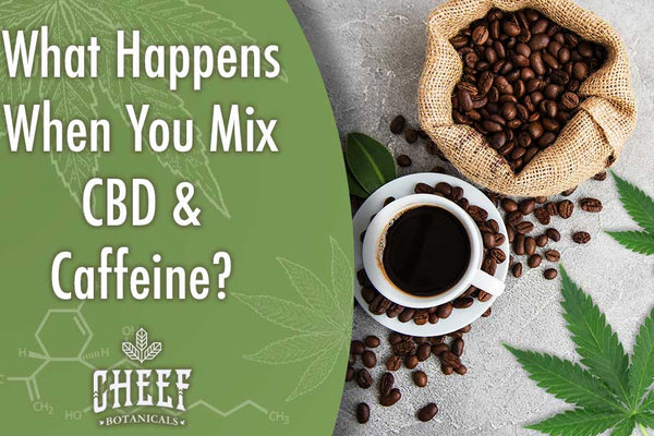 What Happens When You Mix CBD and Caffeine? [Coffee Fans Must Read]