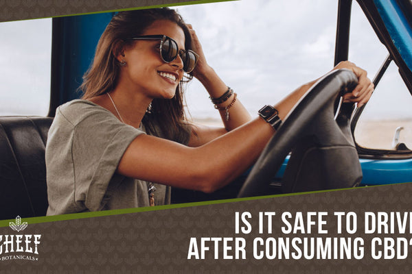 CBD And Driving: Is It Safe & Is It Legal?
