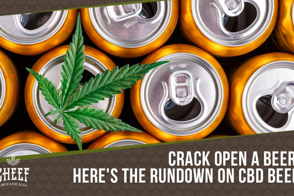 CBD Beer: Taking The Edge Off with Cannabidiol