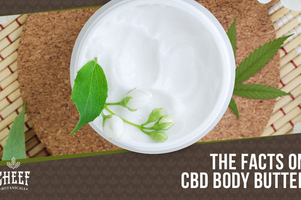 CBD Body Butter: Formulated for Quick-Absorption and Smoother Skin