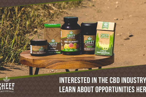 CBD Business Opportunities [Fastest Way To Start Making Money]