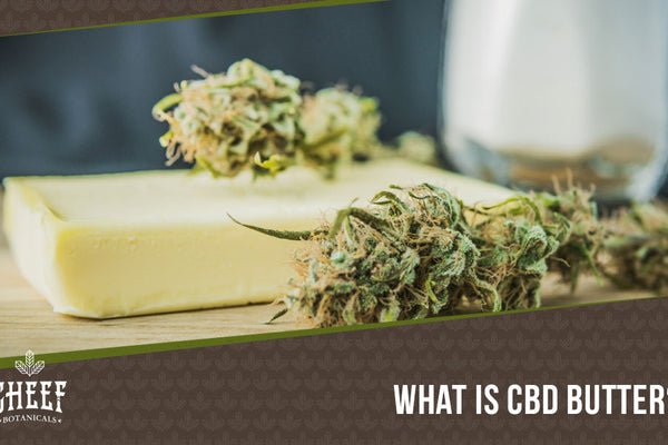 CBD Butter: A Step-by-Step Guide On How To Create A Delicious Recipe