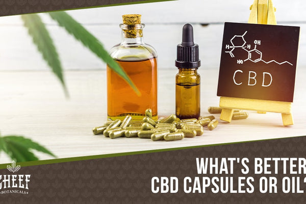 CBD Capsules Vs Oil: Which One Is Better For Me?