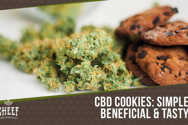Best CBD Cookies Recipe: Easy, Delicious, and Beginner-Friendly