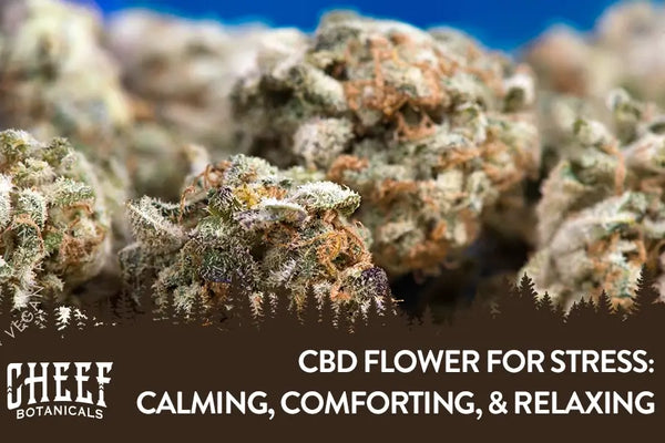 CBD Flower for Stress: Can Hemp Flower Help You Unwind?