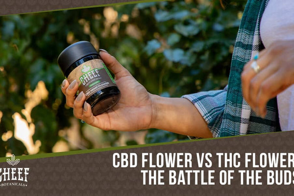 CBD Flower vs THC Flower - How To Tell CBD Flower From Weed
