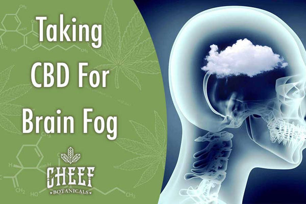 Taking CBD for Brain Fog [Better Mental Clarity?]