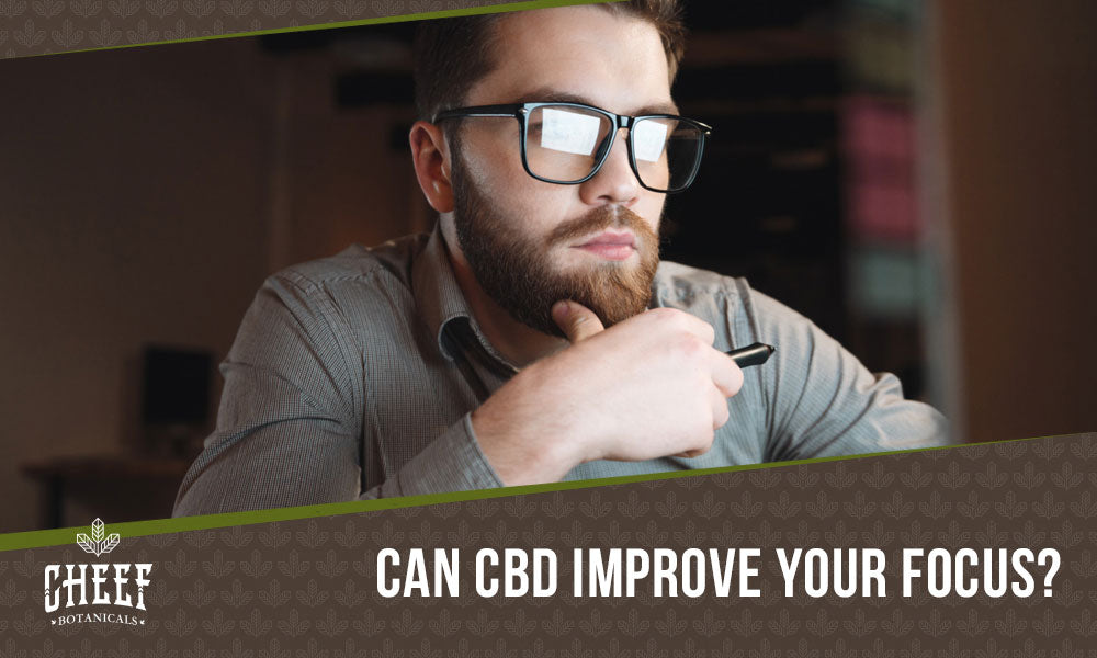 cbd for focus (featured blog image by Cheef Botanicals) shows a man working on his computer