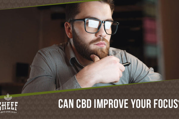 CBD for Focus and Work: Boosting Productivity with Cannabidiol