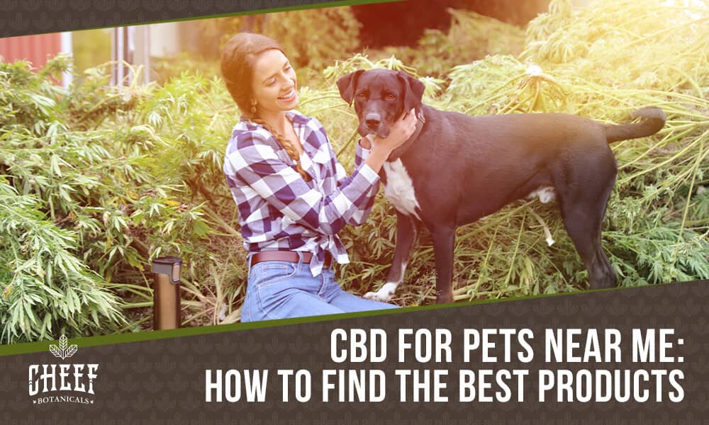 cbd for pets near me