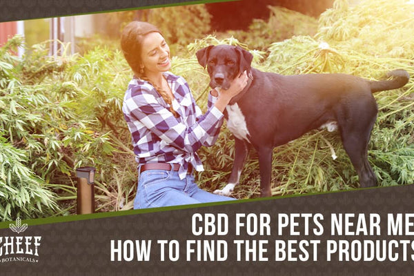 CBD for Pets Near Me [The Easiest Way To Find CBD Fast]