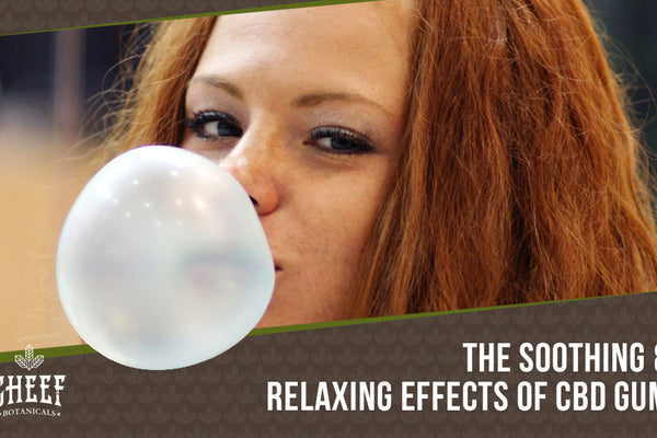 CBD Gum: What Happens When You Chew CBD Instead?
