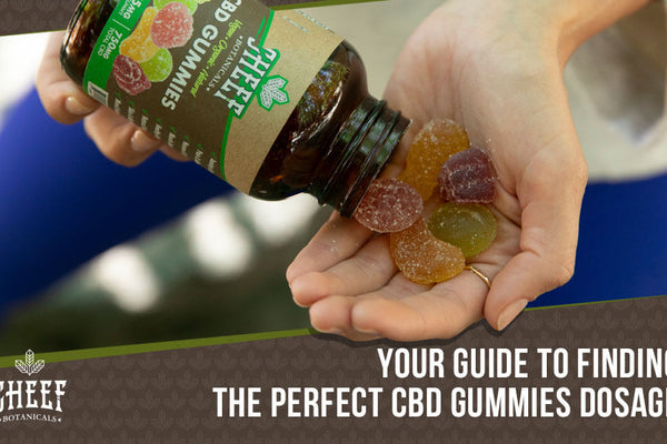CBD Gummies Dosage: Find Your Sensational Sweet Spot