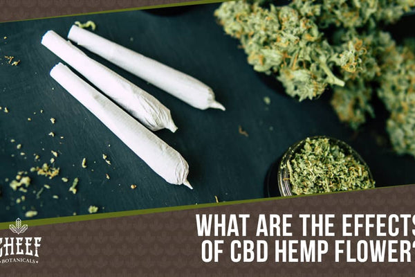 Top 5 CBD Hemp Flower Effects On Your Body & Brain