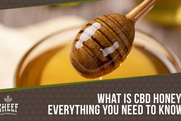 Best CBD Honey: 100 % Organic High Potency Honey