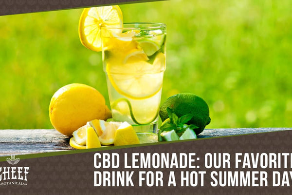 CBD Lemonade: A Delicious & Refreshing Way To Enjoy CBD