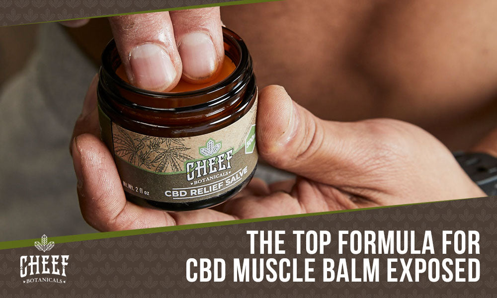 cbd muscle balm (featured blog image by Cheef Botanicals) shows a person using CBD relief balm