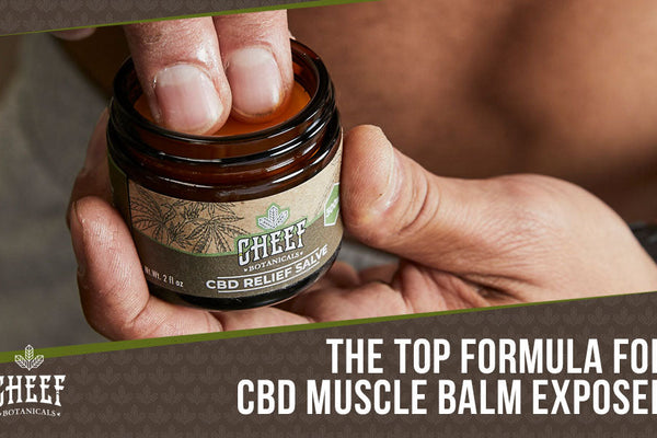 CBD Muscle Balm: Pro Formula Revealed for Immediate Relief