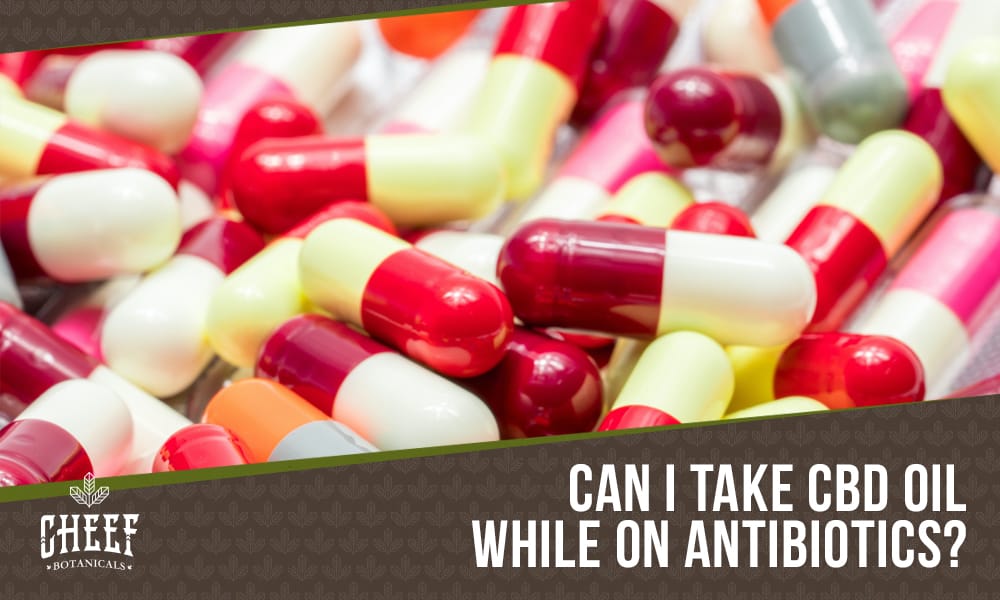 CBD oil and Antibiotics