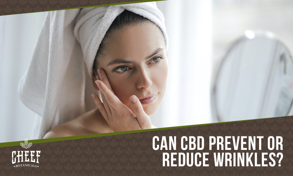 Featured blog image by Cheef Botanicals showing a woman touching her face with the text “Can CBD Prevent or Reduce Wrinkles?” highlighting CBD oil for wrinkles.