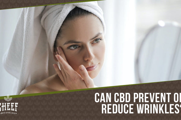 Can You Use CBD Oil for Wrinkles?