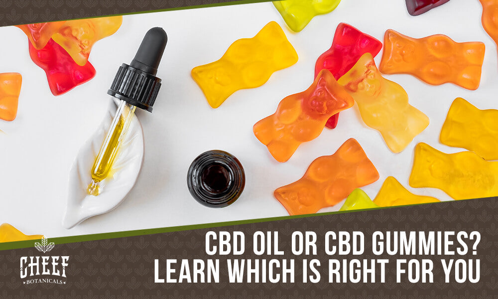 cbd oil vs gummies