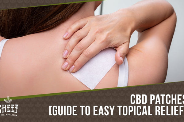 CBD Patches Guide [All-Day Tension & Soreness Relief]