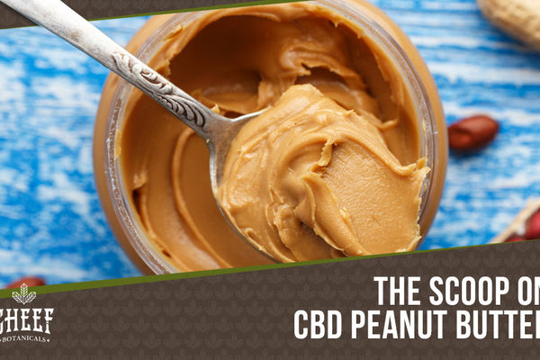 CBD Peanut Butter: The Nutritious Edible You Can Whip up at Home