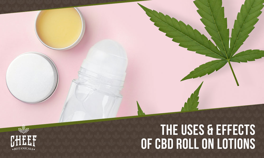 Featured blog image by Cheef Botanicals showing a roll-on lotion bottle, cannabis leaves, and balm with the text “The Uses & Effects of CBD Roll On Lotions,” highlighting CBD roll on lotion.