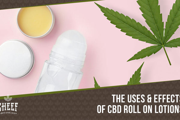 CBD Roll On: Fast Absorption & Quick Relief That Works