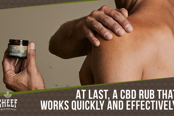 Maximum Strength CBD Rub: Fast Acting with Lasting Results