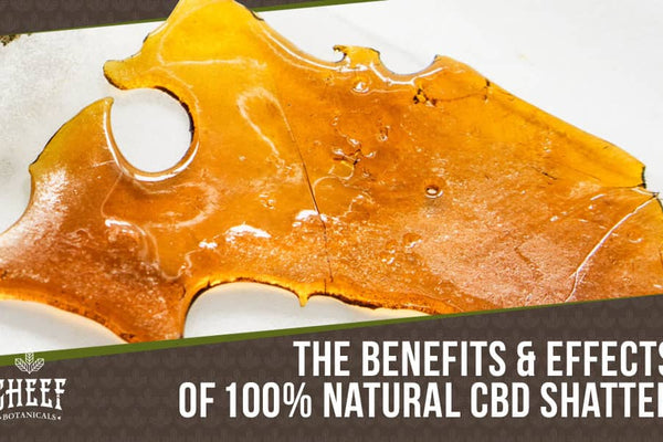 CBD Shatter: The Highly Effective Way to Enjoy CBD
